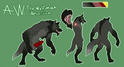 2017 animal_genitalia animal_penis anthro balls beard canine canine_penis chakat-silverpaws digital_media_(artwork) erection facial_hair fur furry knot male male_only mammal model_sheet muscular muscular_male nipples nude open_mouth pecs penis simple_background solo standing teeth were werewolf wolf