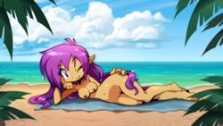 beach blue_eyes breasts clouds edit female female_only genie long_hair looking_at_viewer naked nipples nude palm_tree pirate pointy_ears purple_hair pussy sand sea shantae shantae:_half-genie_hero shantae_(character) smooth_skin solo tagme towel video_game water wayforward wet wink