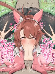 dantsu flame (umamusume) from umamusume by oouw