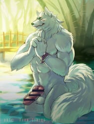 anthro_only bamboo bath beads bridge canine censored claws erection fox gingitsune gintarou male male_only mammal meditating muscular nature paws peaceful penis xuan_sirus_(artist)