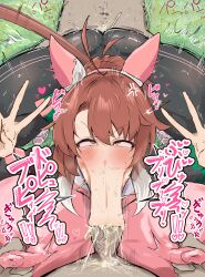 dantsu flame (umamusume) from umamusume by oouw