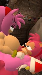 amy rose from sonic (series)