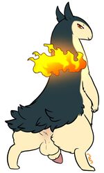 animal_genitalia anus ass backsack balls feral fire looking_back maim male nintendo penis perineum pokemon pokemon_(species) sheath simple_background solo tapering_penis typhlosion video_games white_background