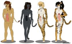 2017 alternate_universe anthro ass balls big_balls big_breasts big_penis breasts comic dickgirl erection feline fur group group_sex huge_cock humanoid_penis hyper hyper_penis intersex jeffk38uk leo lion male mammal model_sheet muscular muscular_male nude ocelot onca_(lomasderzumalos26) panther panthera panthera_(webcomic) pardus penis sex smile spots tiger tigris webcomic