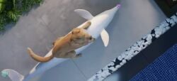 3d_(artwork) 3d_animation anal anal_sex animal_genitalia animal_penis animated bird_dog bondage bondage bound bound_rostrum canid canine canine_genitalia canine_penis canis cetacean cowgirl_position digital_media_(artwork) dolphin domestic_dog duo erection feral feral_on_feral feral_penetrated feral_penetrating feral_penetrating_feral from_front_position genitals golden_retriever hunting_dog interspecies knot knotted_penis light_bondage loop lying male male/male male_penetrated male_penetrating male_penetrating_male mammal marine missionary_position on_back on_bottom on_top penetration penile penile_penetration penis pool realistic_feral retriever sex short_playtime sound tagme toothed_whale trioami260 video