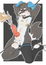 anal anal_beads anal_beads_in_ass anal_sex animal_genitalia animal_penis anthro ball_rope ball_stretching black_body black_clothing black_legwear black_stockings bodily_fluids bondage canid canine canine_genitalia canine_penis canis clothing collar cum_while_urethral_penetration disembodied_penis domestic_dog duo ejaculation erection eye_roll genital_rope genitals hands_behind_head hi_res kemono kneeling knot legwear male male/male mammal nipple_piercing nipples object_in_ass penetration penis piercing rope sex_toy sex_toy_in_ass sex_toy_insertion shaking simple_background sounding_rod sounding_rod_pull stirrup_legwear stirrup_stockings stockings sweat tears tongue tongue_out urethral urethral_penetration wuxbbq