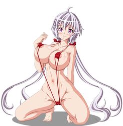yukine chris from senki zesshou symphogear by artemisumi