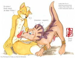 2003 2007 anthro fennec_(artist) fox_mccloud furry male_only mobian_fox prince_tricky star_fox tagme