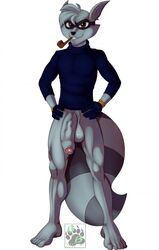 anthro balls blackbear bottomless clothed clothing flaccid foreskin male male_only mammal muscular penis raccoon shirt sly_cooper_(series) smooth_fur solo video_games