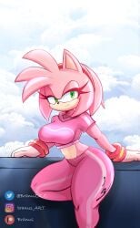 2d 2d_(artwork) 2d_artwork amy_rose belly big_booty big_breasts big_breasts big_breasts big_hips big_thighs big_titties black_nose blue_sky branuzzz breasts bubble_ass bubble_butt closed_smile clouds diadem eyelashes gloves green_eyes half-closed_eyes looking_at_viewer pink_fur sega sky sonic_(series) sonic_the_hedgehog_(series) sports_bra sports_pants sportswear spots thick_ass thick_butt thick_hips thick_legs thick_thighs thighs two_tone_fur