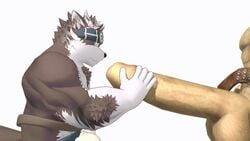 balls dragon_quest furry gjyyngii handjob horkeukamui housamo licking male male_only mmd penis sex stroke tokyo_afterschool_summoners tongue tongue_out video_games wolf yaoi