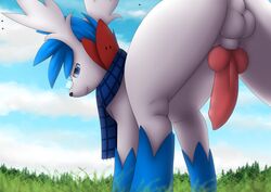 alternate_color animal_genitalia animal_penis balls blue_fur bluestorm canine_penis day detailed_background erection eyewear falak feral fur glasses knot legendary_pokemon looking_at_viewer low-angle_view male nintendo outside penis pokémon_(species) pokemon pokemon_(species) rear_view scarf seductive shaymin shaymin_(sky_form) shiny_pokemon sky smile solo video_games