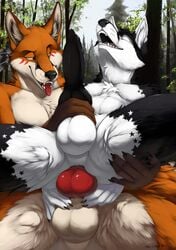 absurd_res anal anal_sex animal_genitalia animal_penis balls black_fur brown_fur canine canine_penis feathers fox fur hi_res jika_fox knot male mammal markings milkyway orange_fur paws penetration penis tongue tongue_out truegrave9 white_fur yaoi