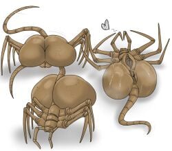 6_legs alien_(franchise) anus ass big_butt facehugger female female_feral feral genitals japansadface presenting pussy tail vein veiny_butt
