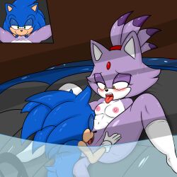 blaze the cat from sega by soulyagami64