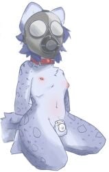 anthro areola arms_tied balls belly_blush bent_legs blue_body blue_fur blush body_blush bound chastity_cage chastity_device collar felid flat_chastity_cage fur gas_mask genitals hands_behind_back kemono kneeling leopard_spots male male_only mammal mask neck_tuft nipple_blush nipples on_ground pantherine puffy_areola puffy_nipples shen_(snepause) simple_background snepause snow_leopard solo spots tuft wearing_mask