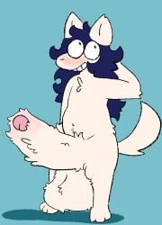 anthro ash_(nyactophiliac) balls big_balls big_penis blue_hair blush canid canine canis domestic_dog fluffy fluffy_balls fluffy_penis genitals hair huge_balls huge_cock hyper hyper_balls hyper_genitalia hyper_penis male mammal nyactophiliac penis rubbing_head solo
