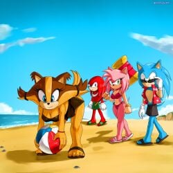 amy rose from sonic (series) by soranygy