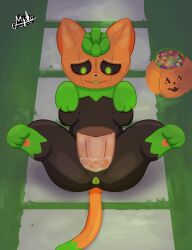 pumkat from halloween by majika