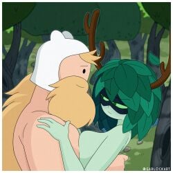 finn the human from adventure time by garlock