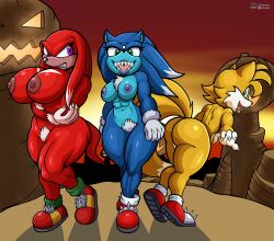 knora the echidna from sega by fours (artist)