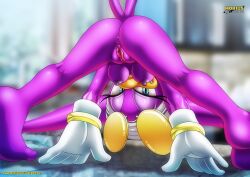 wave the swallow from sega by bbmbbf
