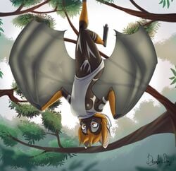 2018 anthro bat bat_wings black_fur breasts clothing devoid-kiss female flying_fox fur hair mammal membranous_wings nipples orange_hair pussy solo sweater upside-down virgin_killer_sweater wardrobe_malfunction winged_arms wings