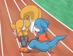 anus balls bottomless canine clothed clothing crossover digimon duo fox gay male mammal mario_and_sonic_at_the_olympic_games raukue sonic_(series) sonic_the_hedgehog_(series) tails veemon yaoi