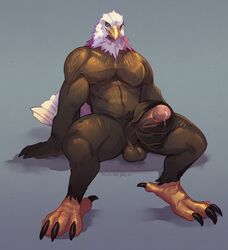 2017 avian bald_eagle balls bird claws cum eagle furikake looking_at_viewer male male_only muscular penis signature simple_background sitting solo talons