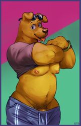 anthro bojack_horseman bulge canine clothing eyewear glitter_trap_boy golden_retriever male_only mammal mr._peanutbutter musclegut muscular nipples pants pecs penis shirt sunglasses