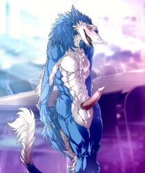 anthro athletic balls blue_(gamblefur) blue_fur blush erection fur furry gamblefur male male_only muscular penis pose red_eyes sergal solo standing tongue