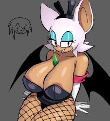 rouge the bat from sega by sandanshot