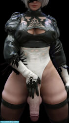 1futa 3d balls big_penis breasts cleavage erection futa_only futanari intersex nier nier:_automata penis solo squarepeg3d testicles thighhighs yorha_2b