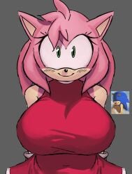 amy_rose arms_behind_back big_breasts dress female furry huge_breasts male sandanshot sega smile sonic_(series) sonic_the_hedgehog