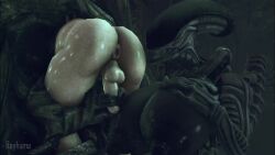 1boy 1girls alien alien_(franchise) alien_girl ball_sucking dominant dominant_female female_xenomorph handjob tagme video xenomorph