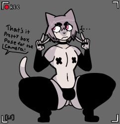 1boy anthro armwear bulge cat_ears cat_tail clothing curvaceous curvy curvy_figure dialogue domestic_cat english_text feline femboy furry ghostfuckrr girly grey_background legwear male male_only mostly_nude nipple_tape panties peace_sign pink_eyes recording sasha_(xarop77) slim_waist solo solo_male squatting stockings tail tape text thick_thighs voluptuous voluptuous_male wide_hips
