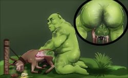 2boys anal anal_penetration anal_sex ass balls crying cum cum_in_ass cum_inside donkey donkey_(shrek) dreamworks dreamworks_animation dreamworks_pictures feral green_body green_skin male male_only non-human nude nude_male ogre penis shrek shrek_(film) shrek_(series) sweat sweatdrop tears x-ray