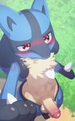 2025 anthro balls blue_arms blue_body blue_ears blush bodily_fluids canid canine censored chest_tuft erection foreskin fur fur_tuft generation_4_pokemon genital_fluids genitals glans hi_res humanoid_genitalia humanoid_penis lucario mammal nintendo partially_retracted_foreskin penis pink_glans pokemon pokemon_(species) popkage precum precum_on_penis red_eyes shadow solo standing tuft yellow_balls yellow_body yellow_fur