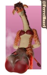 absurd_res animal_genitalia anthro ball_bra balls big_balls big_sheath blush bra breasts brown_hair clothing curly_hair delilah_(ferrethazel) ferrethazel fully_sheathed fur futanari genitals giraffe giraffid gynomorph hair hands_behind_back hi_res huge_balls hyper hyper_balls hyper_genitalia intersex lingerie looking_at_viewer mammal musk musk_clouds orange_body orange_eyes orange_fur sheath small_breasts smile solo tan_body tan_fur underwear