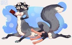 2025 3_heads 3_penises 4_toes 5_fingers anthro araivis-edelveys areola balls black_hair blue_eyes blush book breasts canid canid_taur canine canine_taur claws countershade_torso countershading digital_media_(artwork) erection feet fingers fox fox_taur fur furry genitals green_eyes grey_body grey_fur grey_tail gynomorph hair holding_book holding_object intersex knot mammal mammal_taur multi_genitalia multi_head multi_penis navel nipples pawpads paws penis solo tail taur toe_claws toes