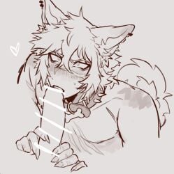 animal_ears animal_tail collar dog_collar gay gay_blowjob kemonomimi licking_penis licking_penis_tip line_censoring male male/male male_only male_pov monochrome penis satoshi_nakayama_(hcbiya) scars uncolored white_background