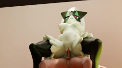 animated anthro furry helpmyhearth meowscarada pokemon pokemon_(species) tagme vaginal_penetration video video_games