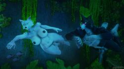 1boy 1girls 3d anthro balls big_breasts big_penis breathhold bubbles canid canine canine_penis canis cave couple danil4h erect_penis erection female fish freediving furry knot male naked naked_female naked_male nipples nude nude_female nude_male original penis skinny_dipping swimming underwater water wolf wolf_girl