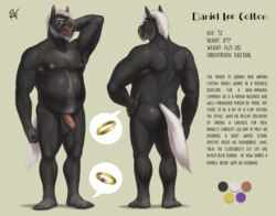 1boy 2017 5_toes anthro arm_hair armpit_hair back_muscles balls beard belly biceps biped black_balls black_belly black_fur blue_eyes body_hair character_profile chest_hair color_swatch daniel_lee_colton digital_media_(artwork) english_text equine eyewear facial_hair feet flaccid foreskin front_view full-length_portrait full_body fur glasses hair hairy_balls hand_behind_head hand_on_hip happy_trail horse humanoid_feet humanoid_penis looking_at_viewer male male_only mammal mature_male model_sheet multiple_angles musclegut muscular muscular_male navel nipples nude pecs penis pink_nipples pink_penis plantigrade rear_view ring rov short_hair signature simple_background solo standing stated_bisexuality tan_background text toe_ring toes uncut white_eyebrows white_hair white_tail