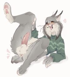 animal_genitalia animal_penis anthro anus aroused ass balls bodily_fluids cheek_tuft clothing disney domestic_cat facial_tuft felid feline feline_ears feline_genitalia feline_penis felis fluffy fur genitals grey_body grey_fur hi_res lynx male mammal molokoo17 pawbert_lynxley pawpads paws penis pink_penis solo sweat sweater topwear tuft whiskers zootopia