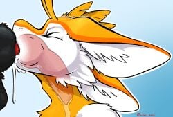 anthro avali black_body black_fur bodily_fluids closed_eyes cum cum_drip cum_dripping_from_mouth cum_in_mouth cum_inside deep_throat dripping duo fur genital_fluids genitals gradient_background hi_res knot knotted_penis knotting male male/male oral oral_knotting oral_penetration orange_body orange_fur penetration penis red_penis simple_background suffer_(phantom76) vikas vikas_avali white_body white_fur yellow_body yellow_fur