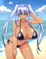 1girls beach big_breasts bikini bikini_bottom bikini_top black_bikini blue_hair breasts cleavage female female_only green_eyes hips huge_breasts ikameshi large_breasts long_hair looking_at_viewer posing seaside solo sweat tan tied_hair twintails