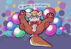 badipoki balloon blush bow_tie domestic_ferret foreskin genitals hi_res inflatable long_foreskin male mammal mustelid musteline paws penis solo tagme true_musteline voltybee weasel