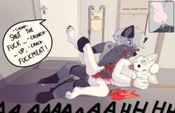 absurd_res anal anthro arctic_wolf ashfox_(sh2fox) blood bodily_fluids bound canid canine canis cannibalism cum cum_inside dialogue duo eating_flesh forced fox genital_fluids genital_mutilation genital_torture gore hi_res knotting male male/male mammal mutilation rape riskitforthebiscuit wolf