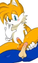 anthro balls blue_fur canine cum cum_licking dripping duo erection fox fur hedgehog hi_res jetfrozen male male_only mammal miles_prower penis sex sonic_(series) sonic_the_hedgehog tails transparent_background yaoi